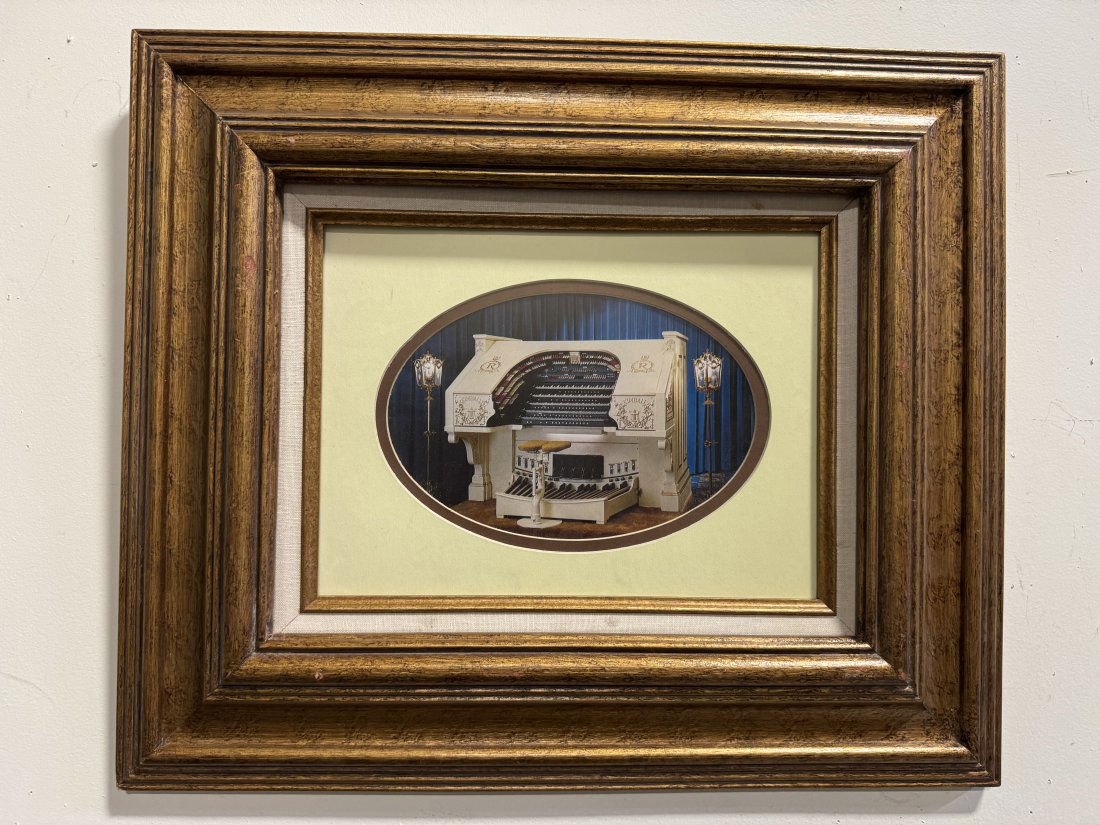 Organ Picture: Measurements: 20In x 17 I