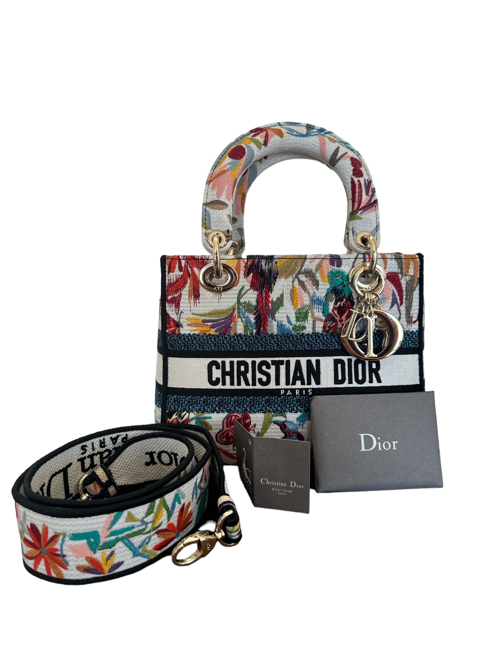 Dior Medium Lady D-Lite Bag (1 of 6)