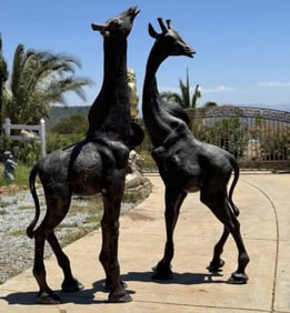 Life Size Bronze Giraffes Sculptures