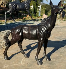 Life Size Bronze Horse Statue