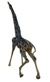 Life Size Bronze Girrafe Sculpture