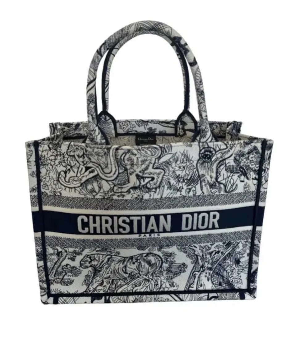 CHRISTIAN DIOR Medium Toile de Jouy Book Tote Handbag (1 of 5)