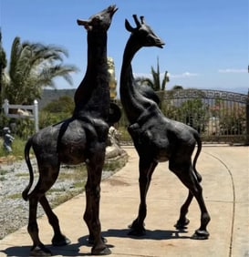 Life Size Bronze Giraffes Sculptures