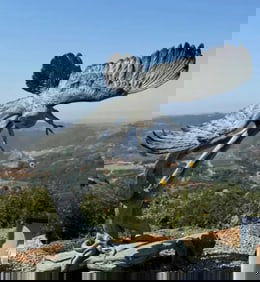 Monumental Life Size Bronze Eagle Sculpture