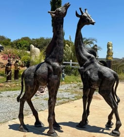 Life Size Bronze Giraffes Sculptures