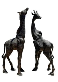 Life Size Bronze Giraffes Sculptures