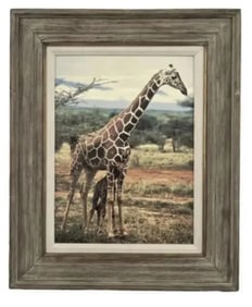 Giraffe and Baby Giraffe Canvas Art Print