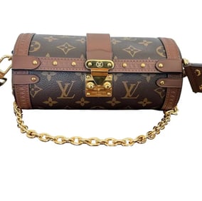 Louis Vuitton PAPILLON TRUNK Bag