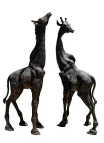 Life Size Bronze Giraffes Sculptures