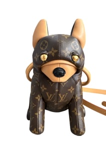 Louis Vuitton Dog Bag