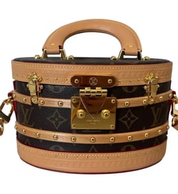 Louis Vuitton Monogram Ellis Bag