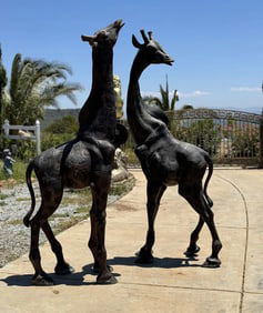 Life Size Bronze Giraffes Sculptures