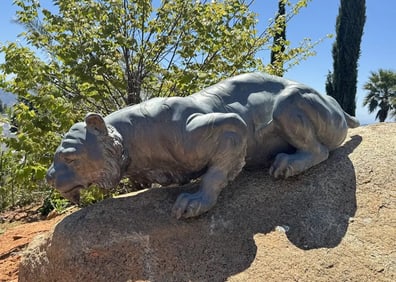 Life Size Bronze Tiger Sculpture
