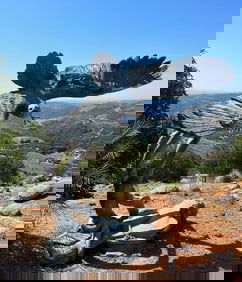 Life Size Bronze Eagle Sculpture