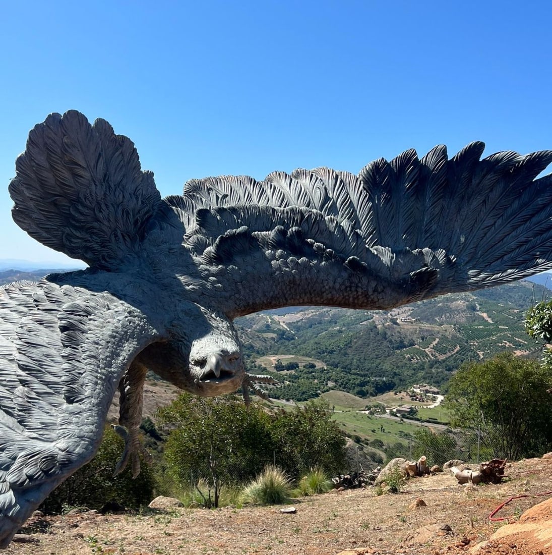 Life Size Bronze Eagle Sculpture - 2