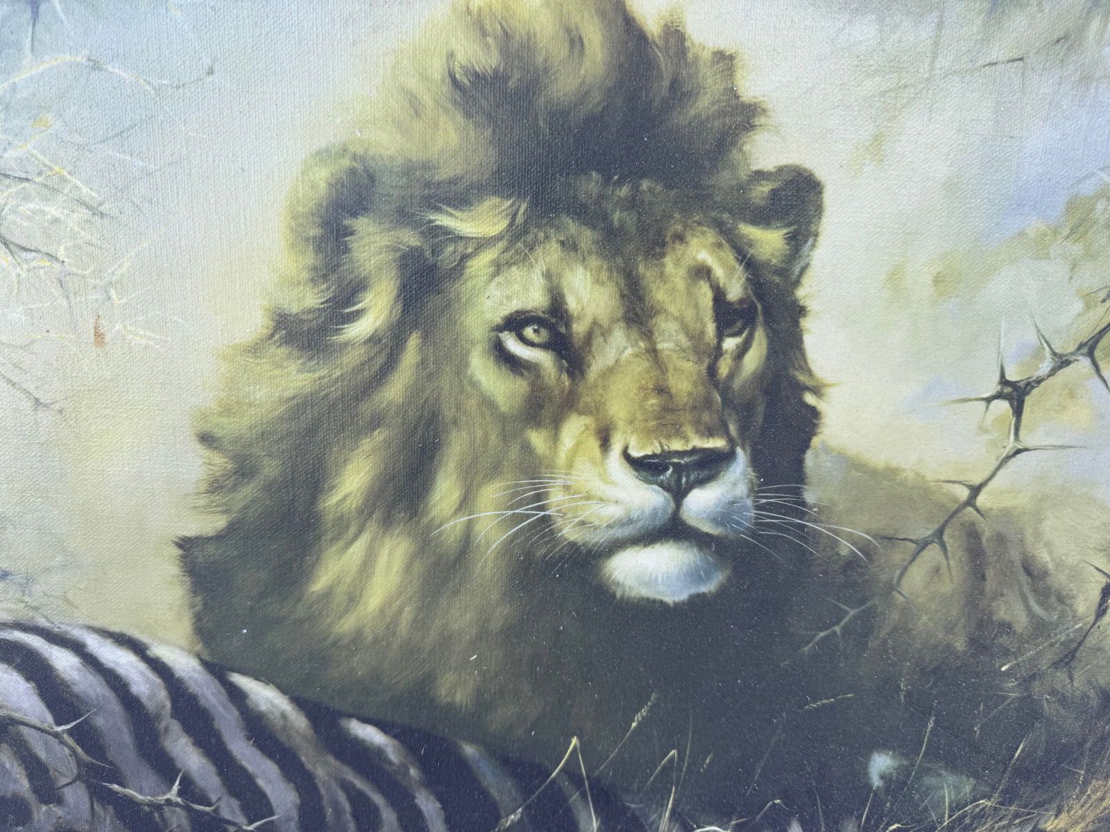 Lion on Canvas Print - 2