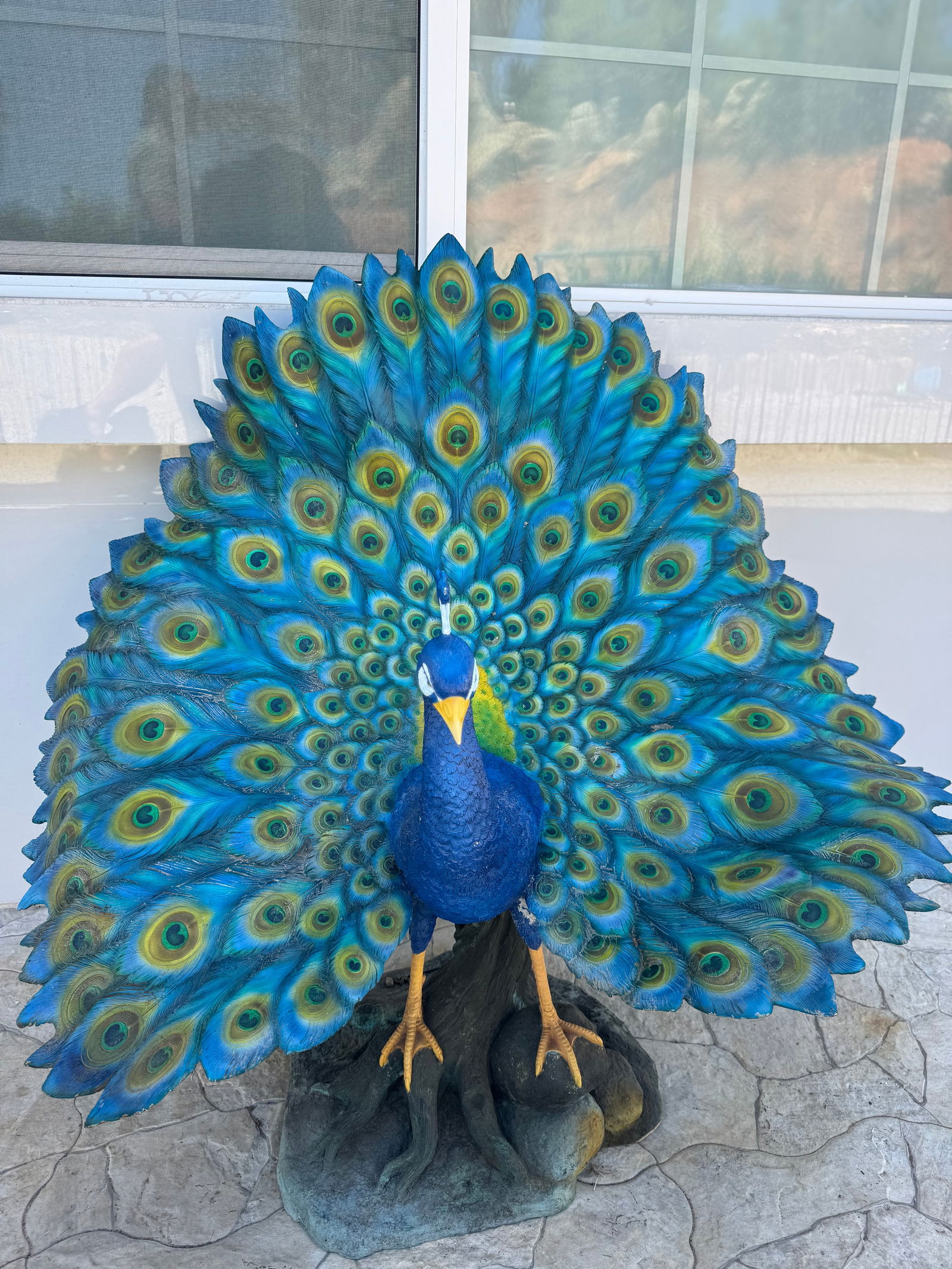 Life Size Bronze Peacock Sculpture: Size: 40 in x 40 in W