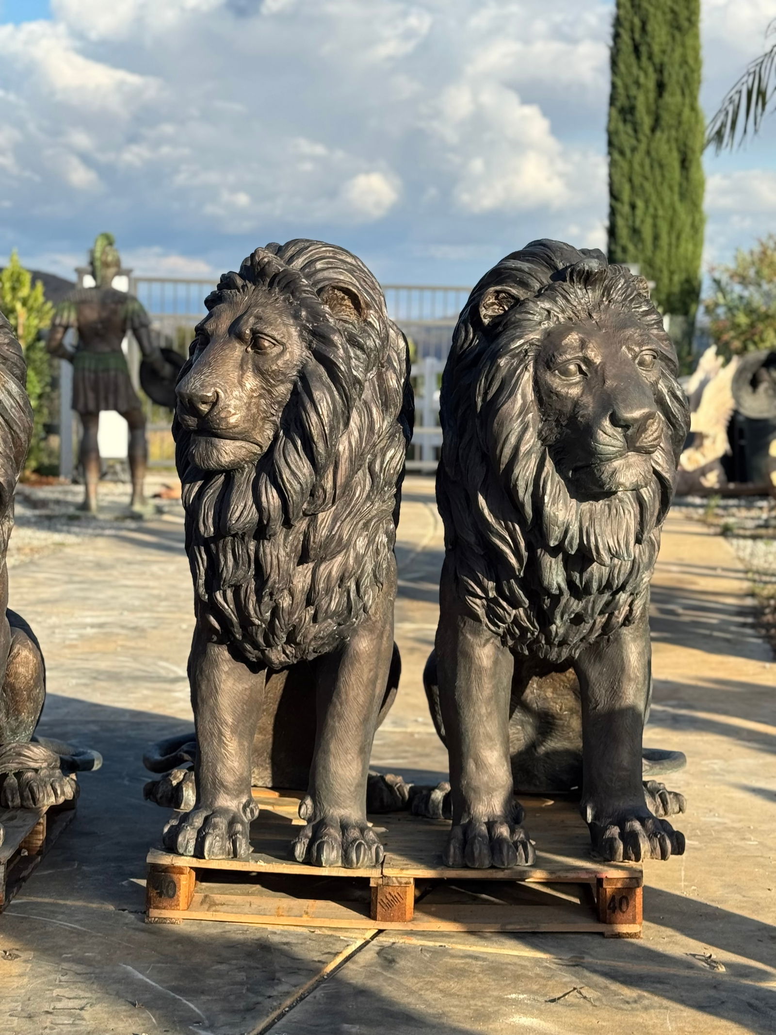 Monumental Bronze Lions: size: 60 in x 50 in 30 in
