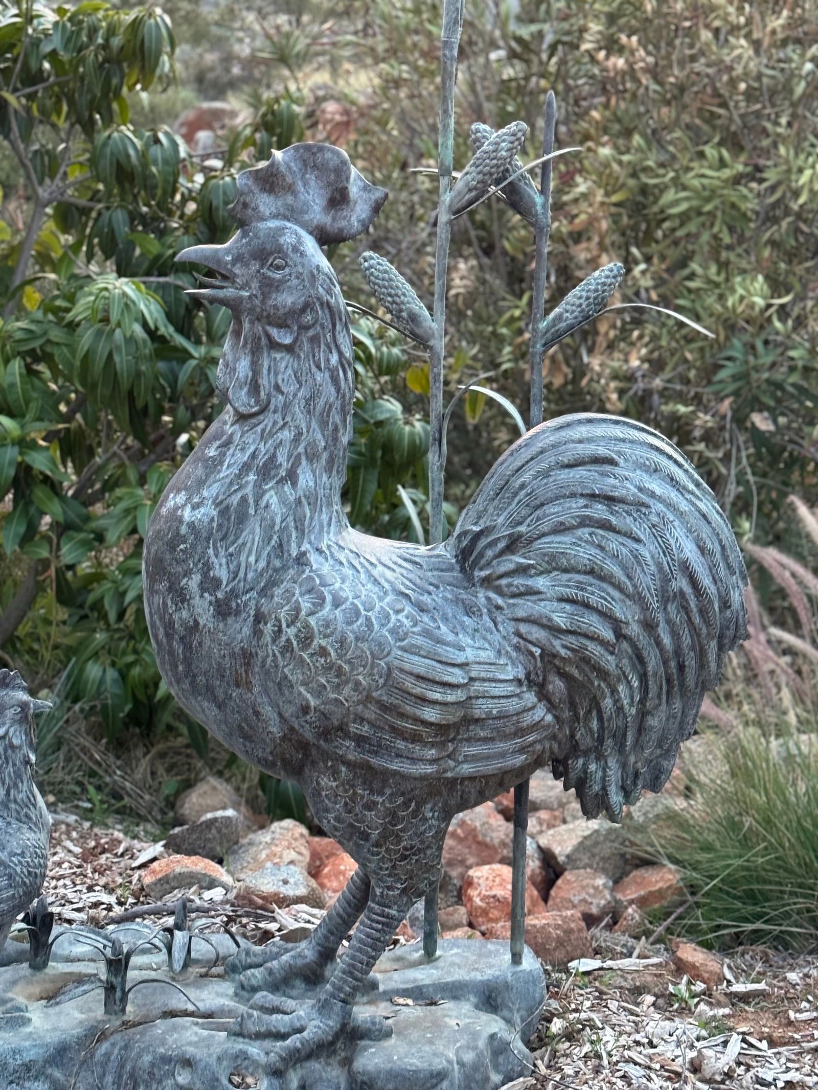 Life Size Bronze Rooster - 3