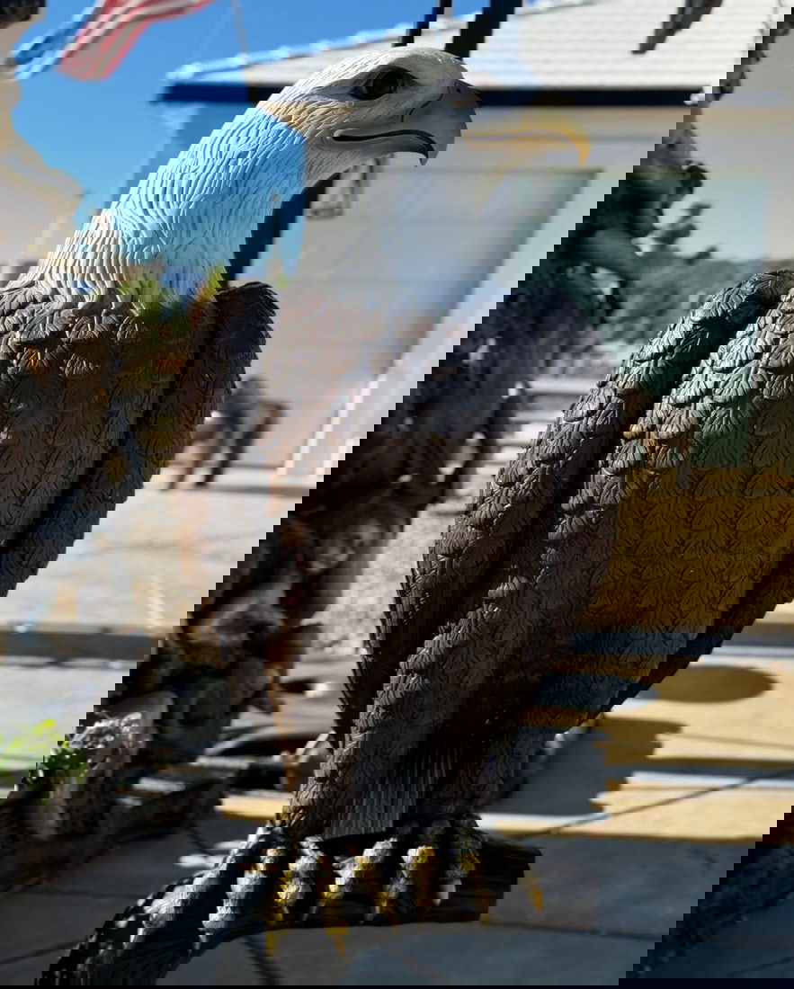 Life Size Bronze Eagle Sculpture - 2