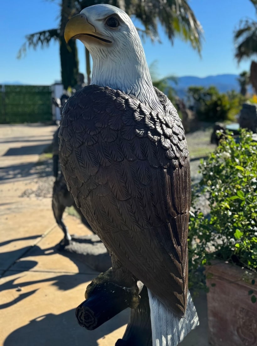 Life Size Bronze Eagle Sculpture - 3