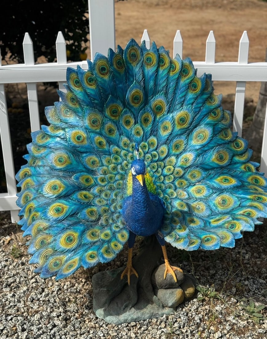 Life Size Bronze Peacock Sculpture: Size: 40”x40”