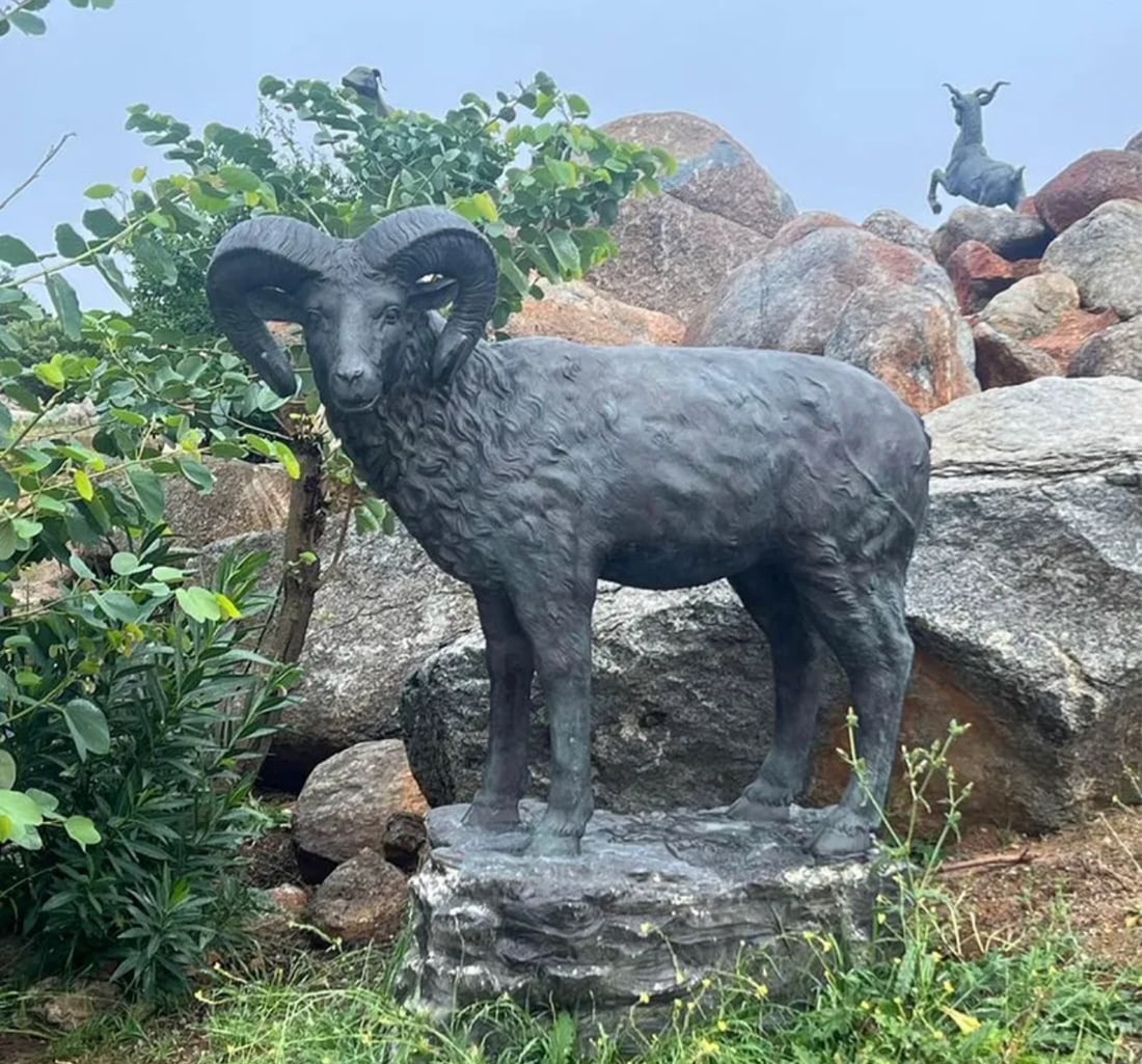 Life Size Bronze Sheep Sculpture: Size: 75 in x 75 in
