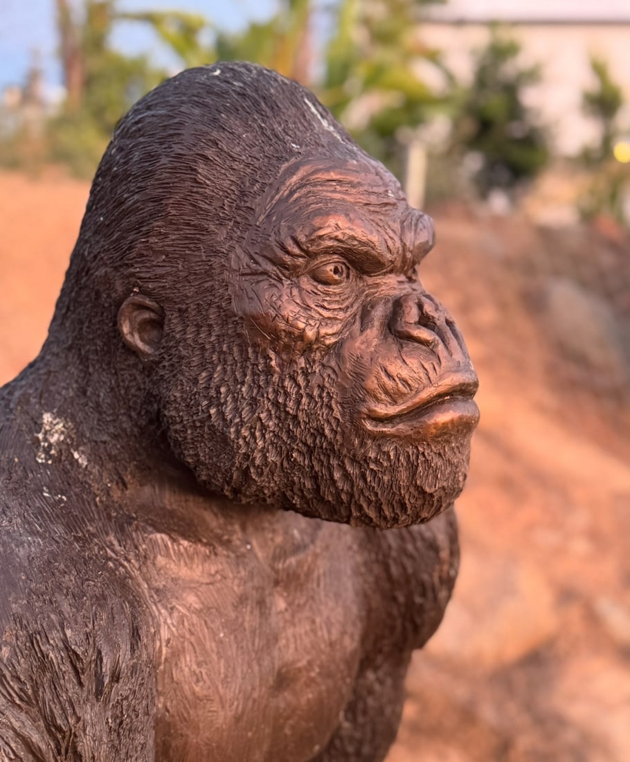 Life Size Bronze Gorilla - 3