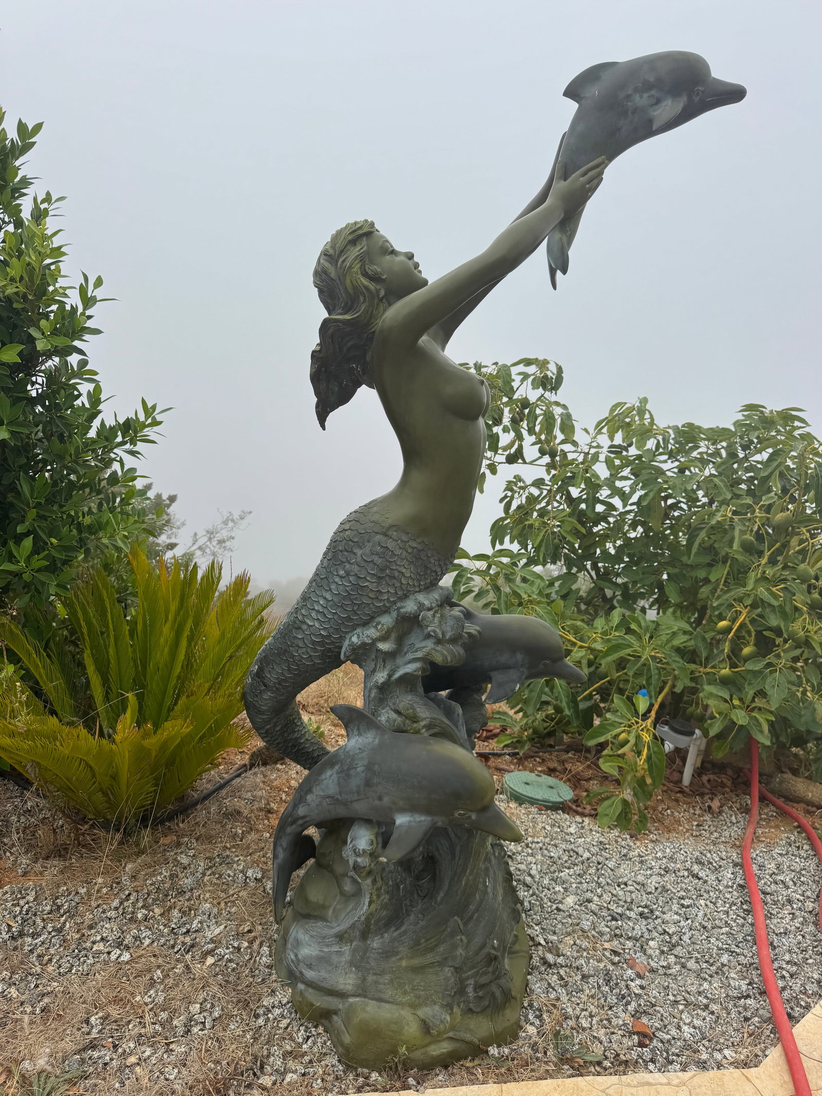 Life Size Bronze Mermaid and Dolphins Statue Fountain: Size: 80” tall x 35 in