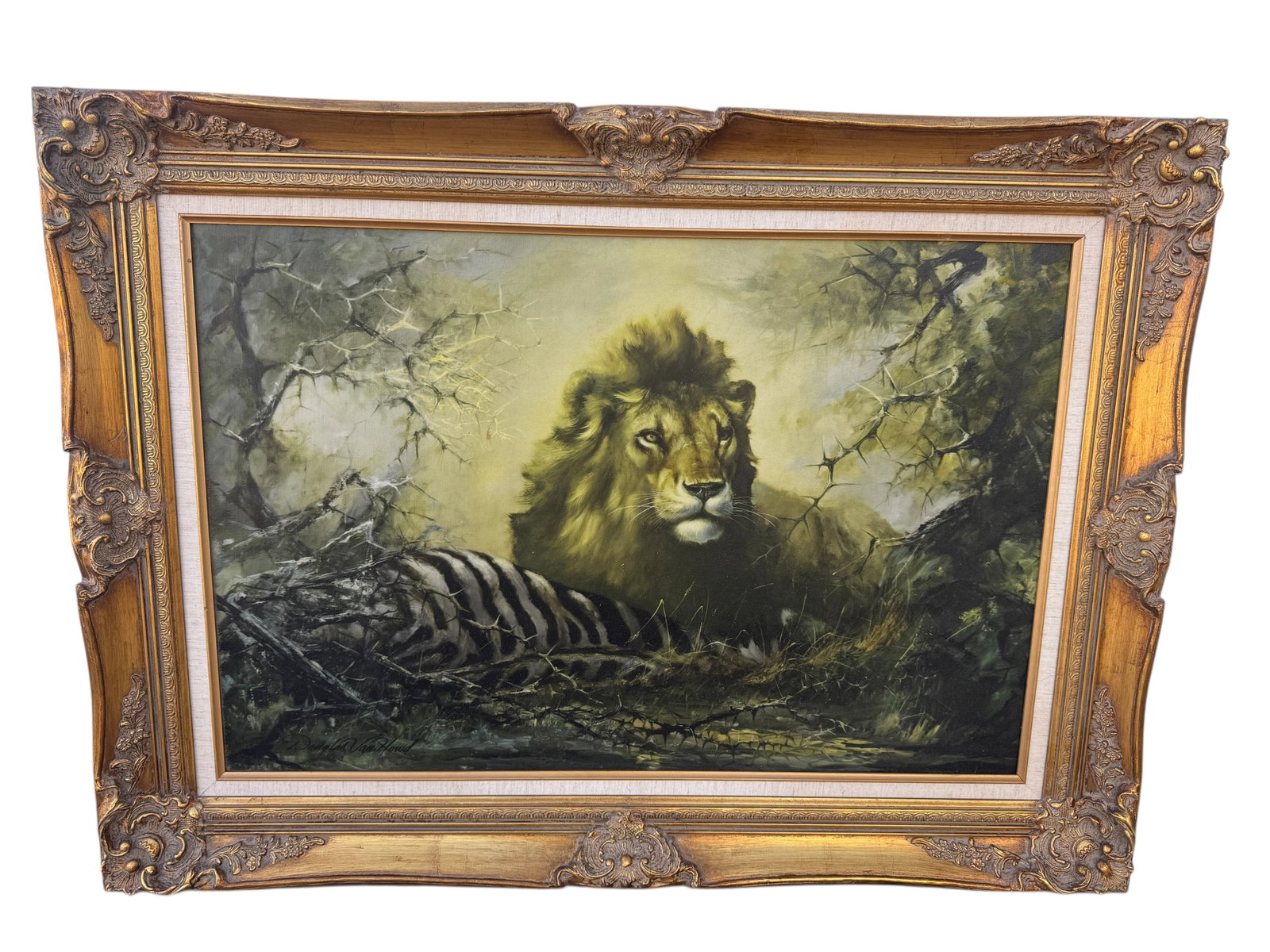Lion on Canvas Print: Size:37 in x 28 in
