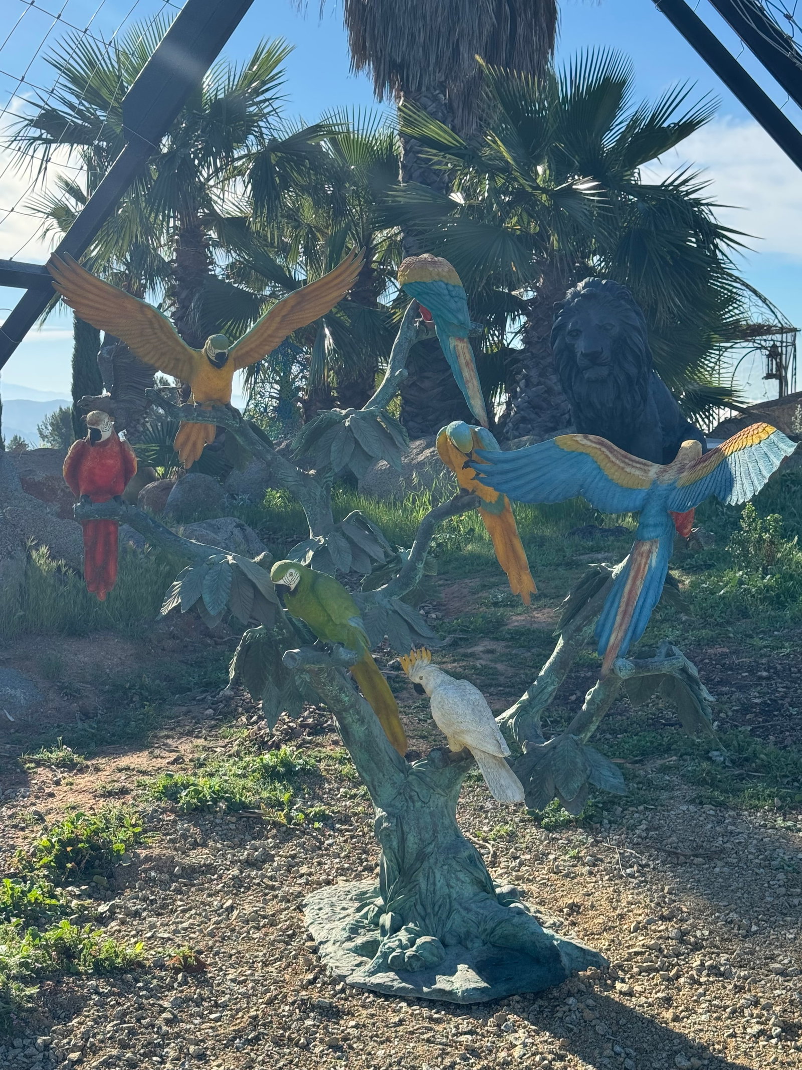 Life Size Macaws Bronze Sculpture - 2