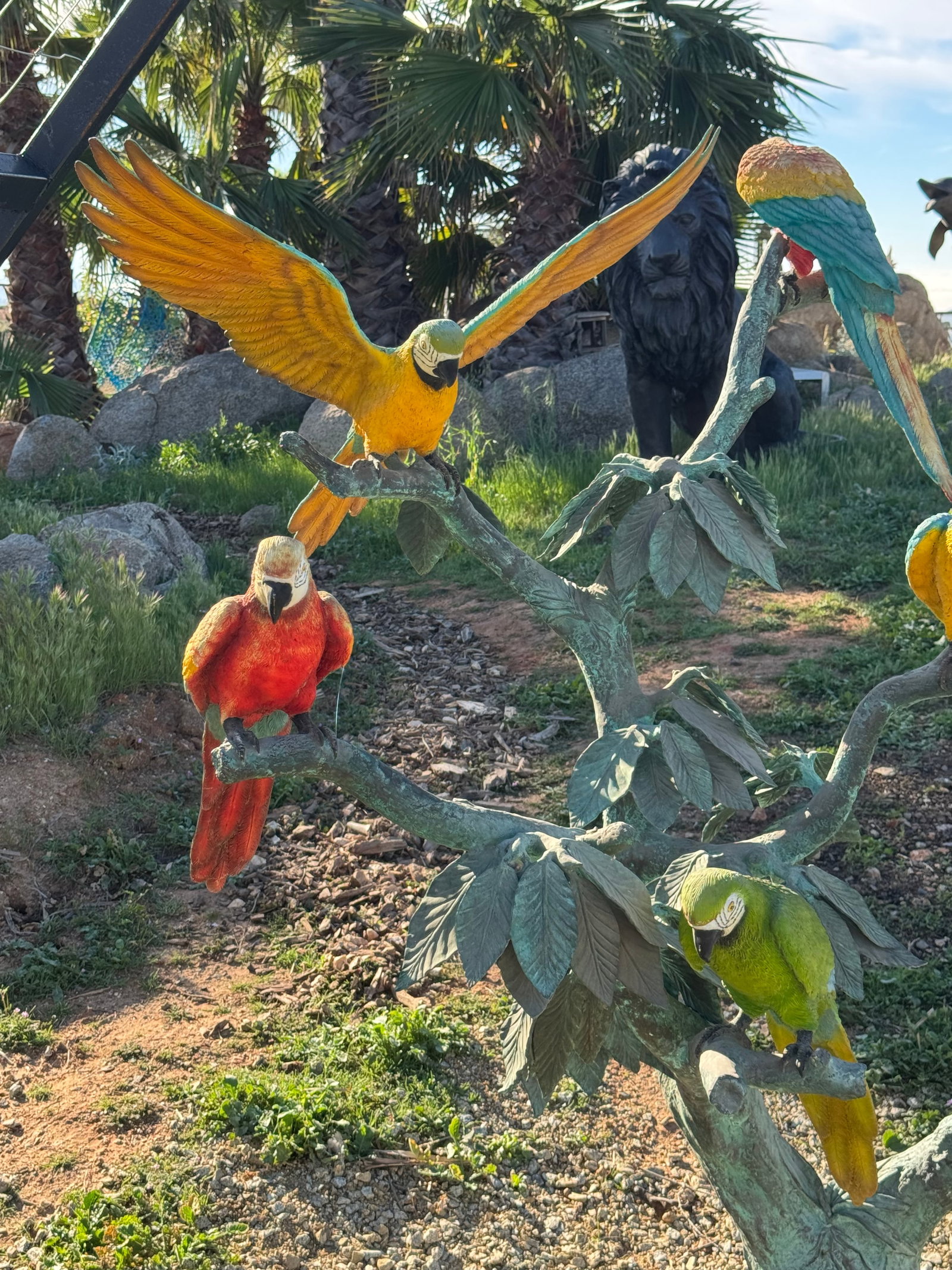 Life Size Macaws Bronze Sculpture - 3