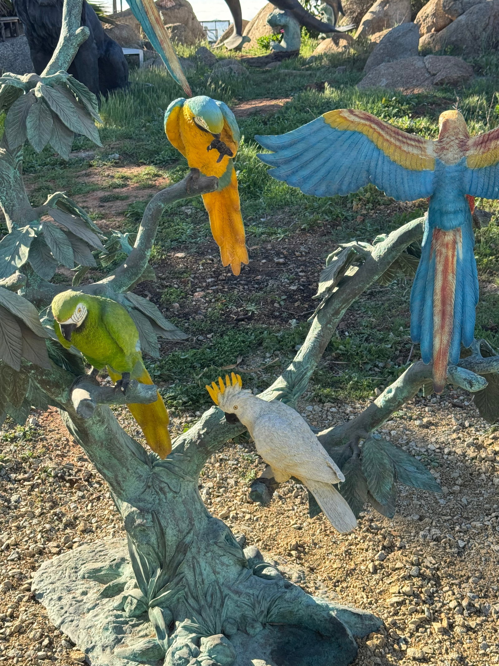 Life Size Macaws Bronze Sculpture - 4