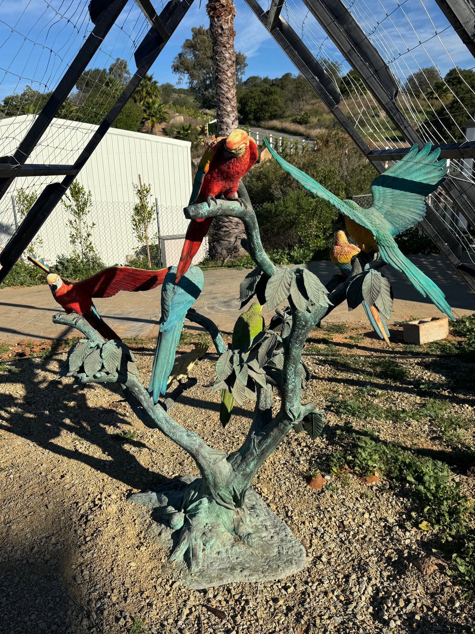 Life Size Macaws Bronze Sculpture - 6