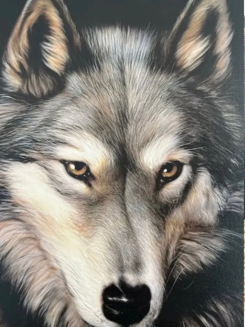 Dave Merrick Wolf Framed Print - 2