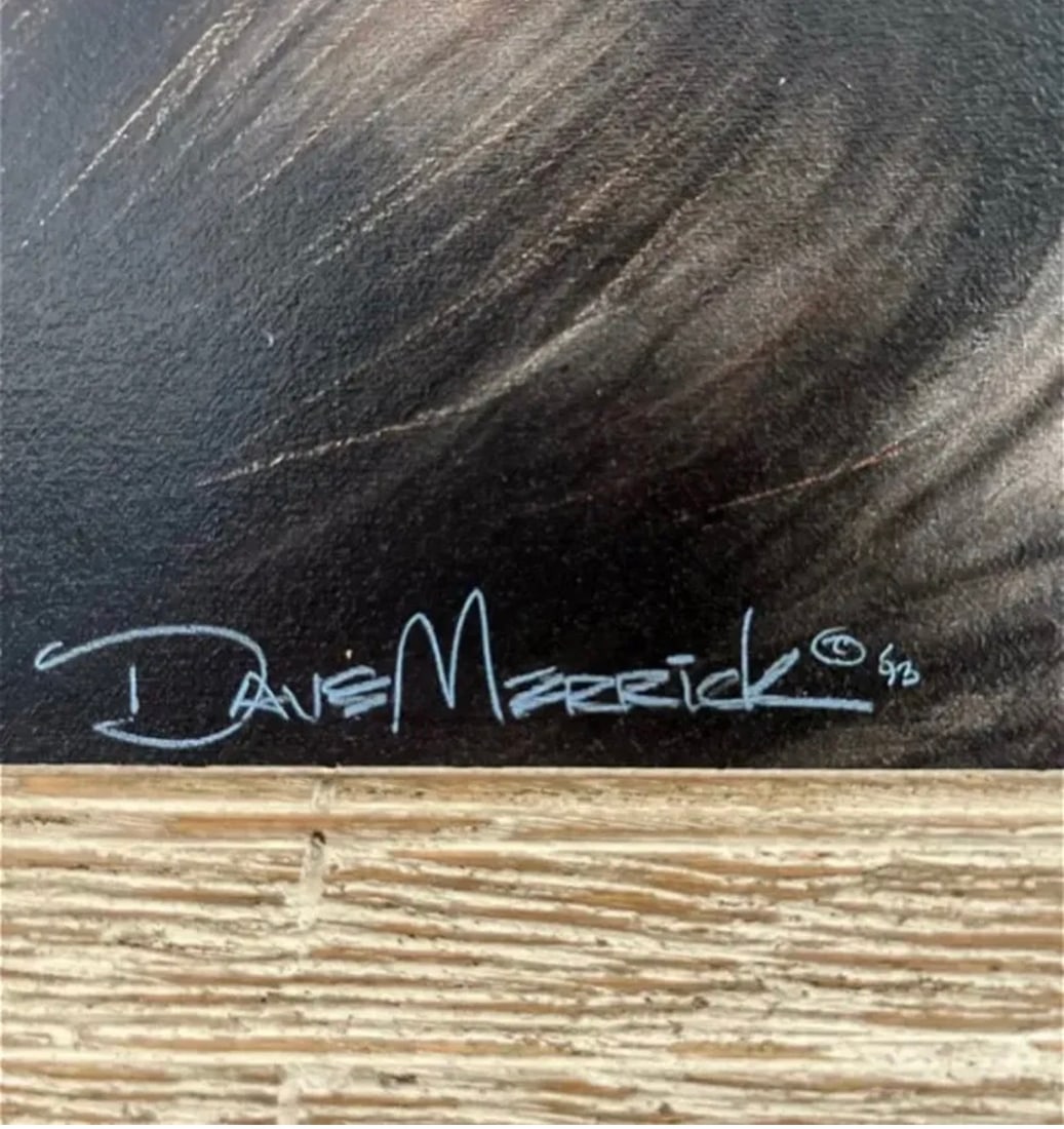 Dave Merrick Wolf Framed Print - 3