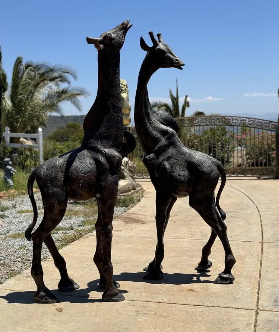Life Size Bronze Giraffes Sculptures: Size: 89" x 32 in x 15 " -86" IN h