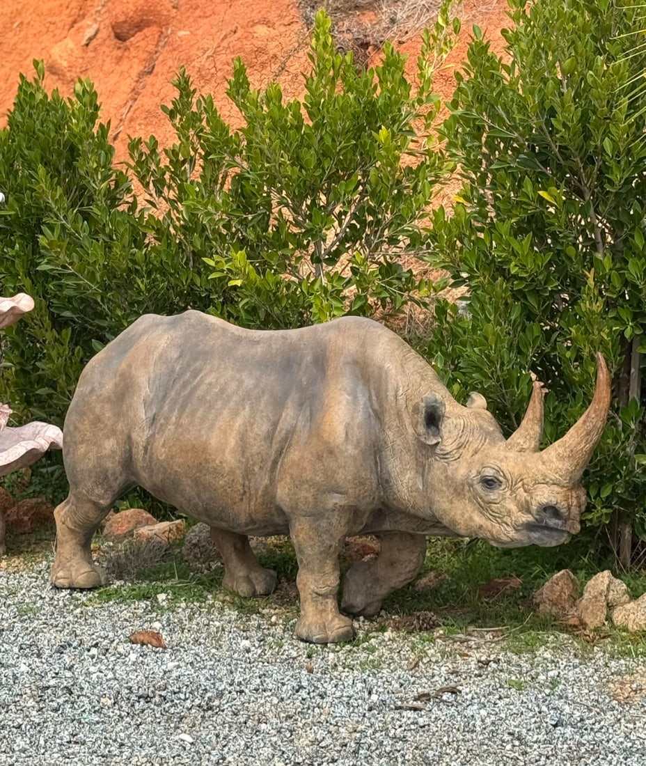 Life Size Bronze Baby Rhino Sculpture: Size: 70' x 36' x 15 in