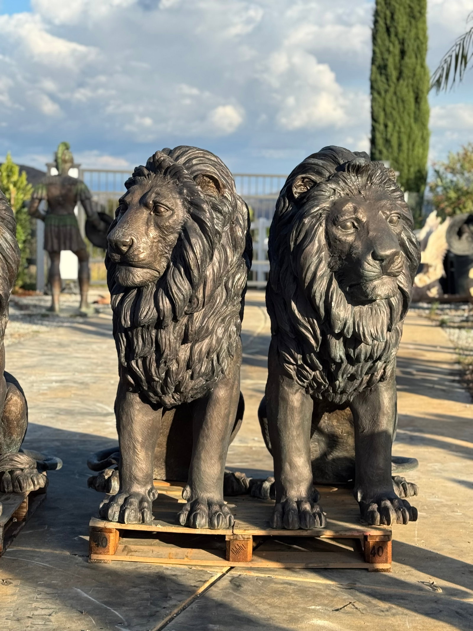 Pair of Monumental Bronze Lions: size: 60 in x 50 in 30 in