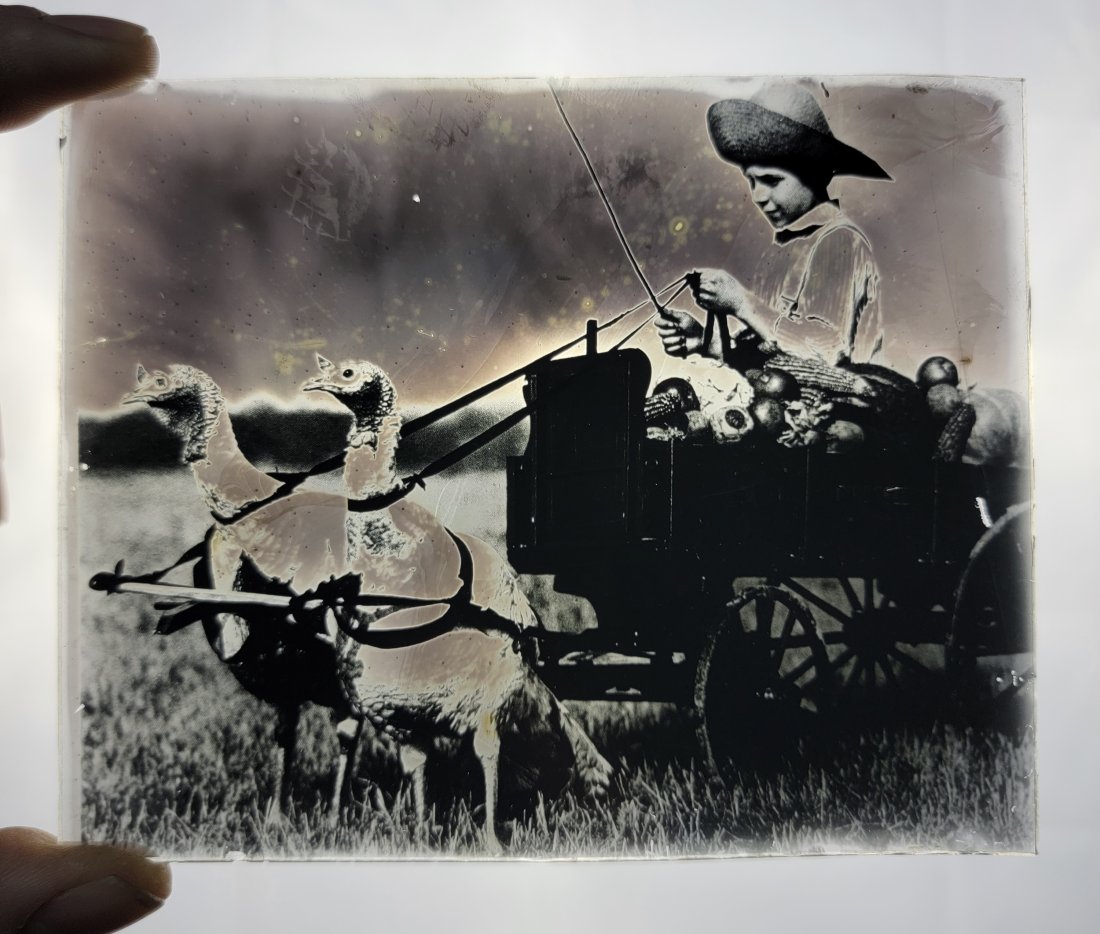 Antique Glass Photo Negative- Boy Riding Turkey Wagon: This is an antique glass Photo Negative of a young boy riding a wagon full of veggies pulled by two turkeys. Famous photograph image used in post cards and humorous articles.