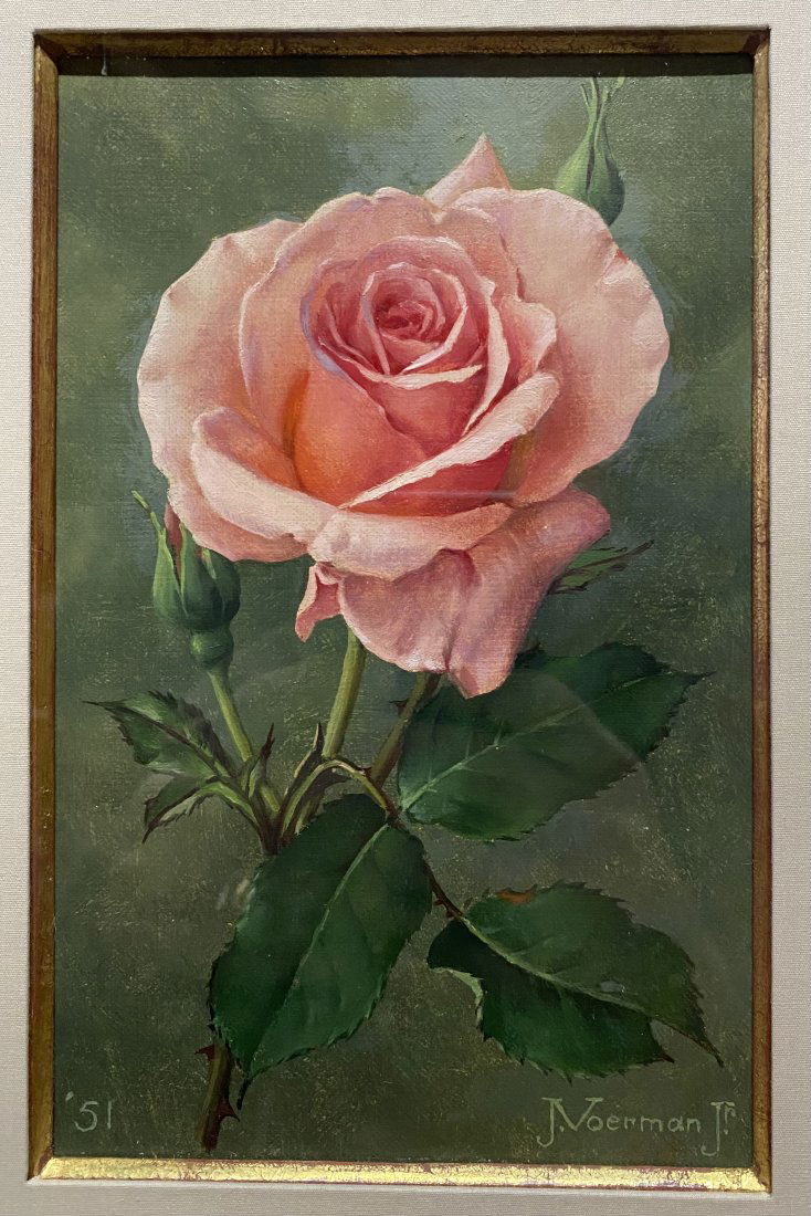 Jan Voerman Still Life with Rose (1 of 6)
