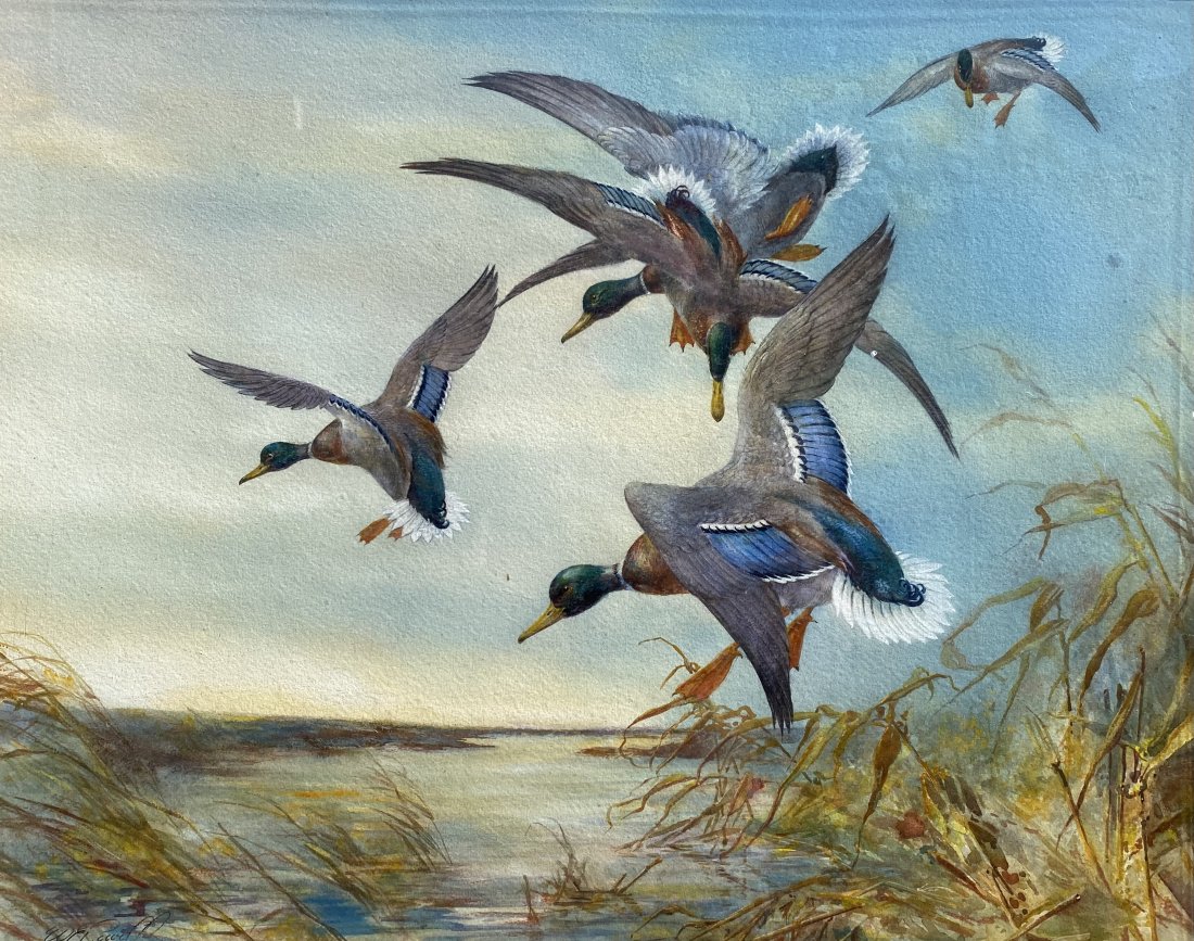 William Edward Powell water color painting of ducks in gold frame: William Edward Powell water color painting of ducks in gold frame. The water color is Cynd in the lower left corner.