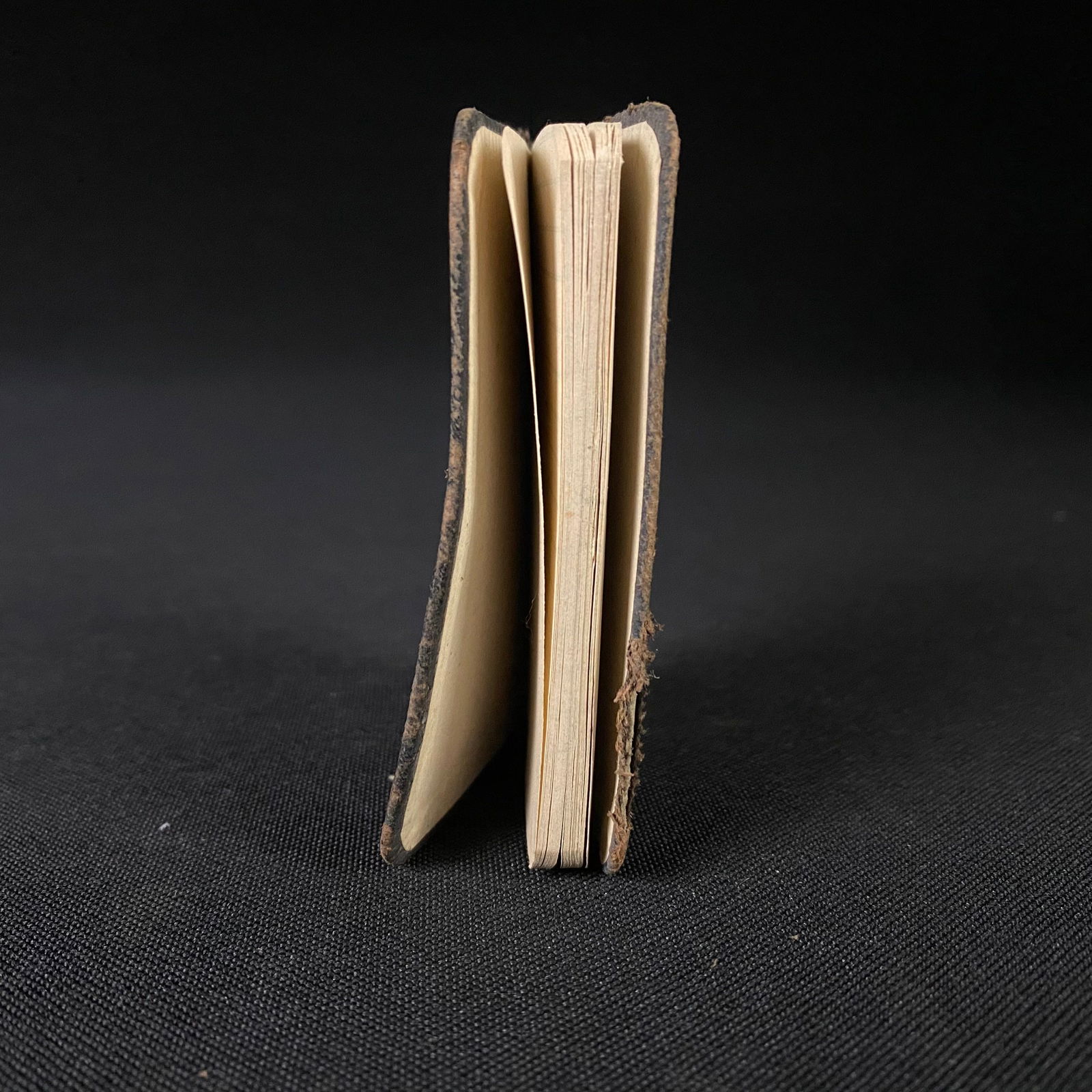 Tiny Pocket notebook with embossed gold leaf native American archer - 5