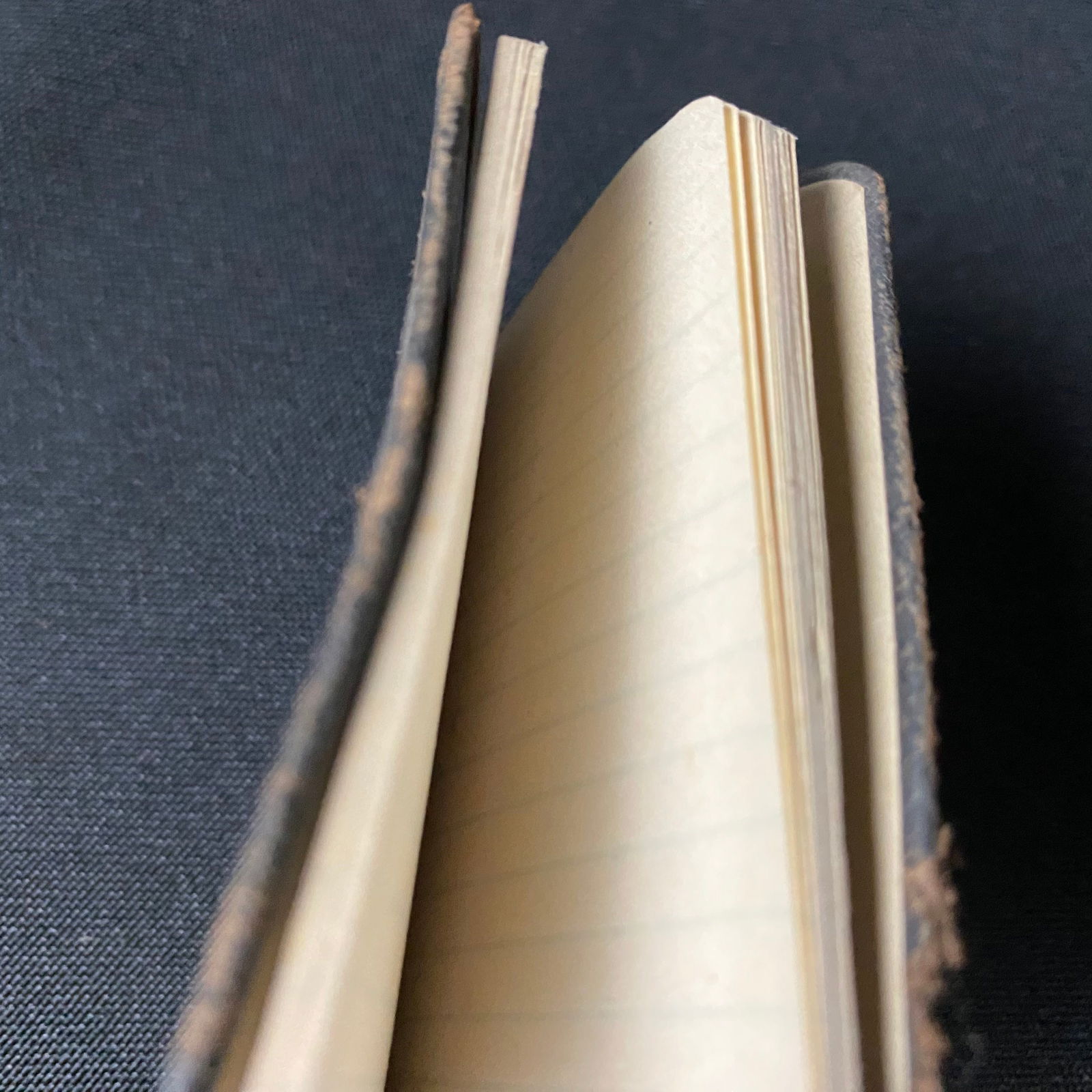 Tiny Pocket notebook with embossed gold leaf native American archer - 7