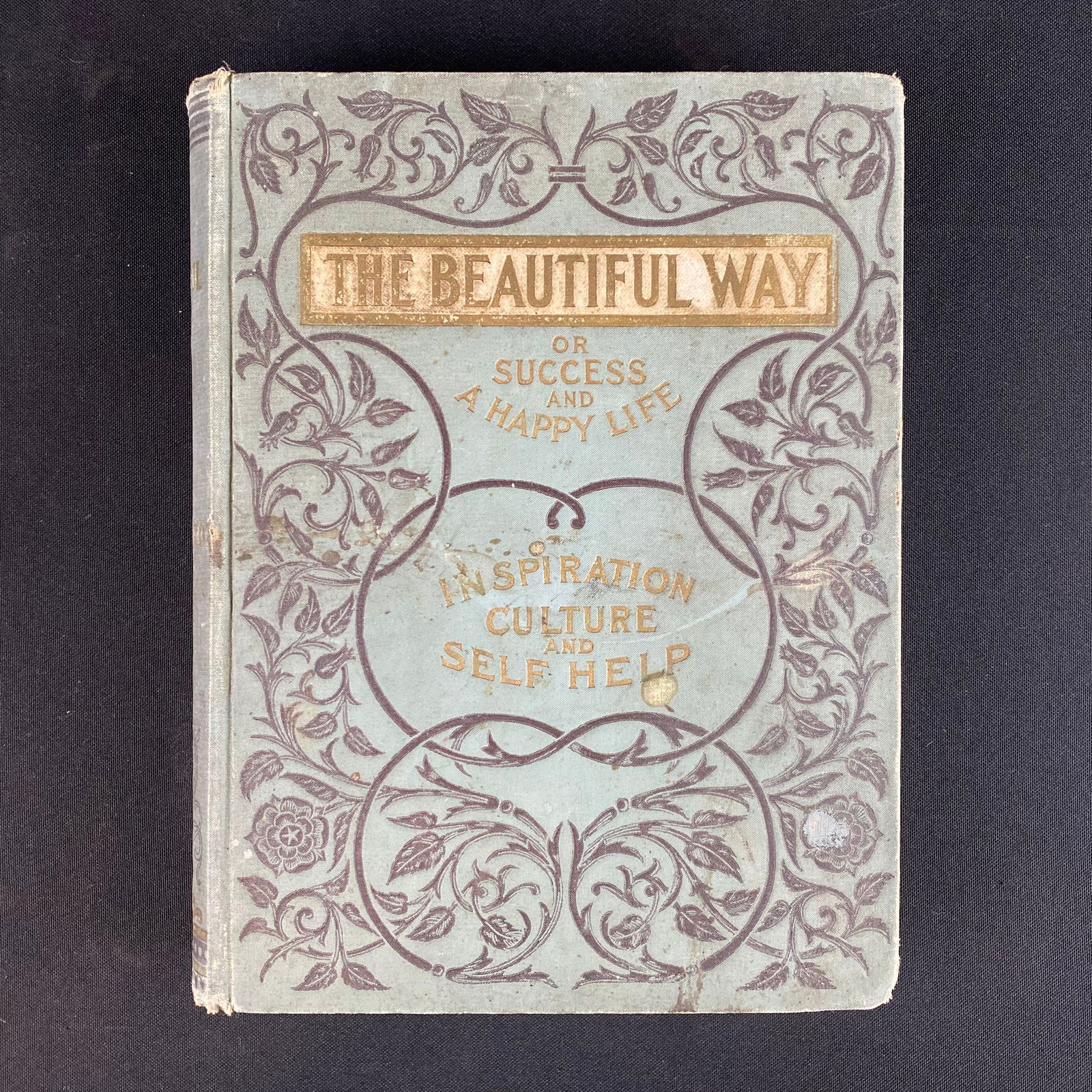 Vintage copy of the Beautiful Way or Success and Happy Life: Vintage copy of the Beautiful Way or Success and Happy Life written by Rev. J.S. Kirtley, D.D. published by C. W. Stanton Company in Chicago ILL.