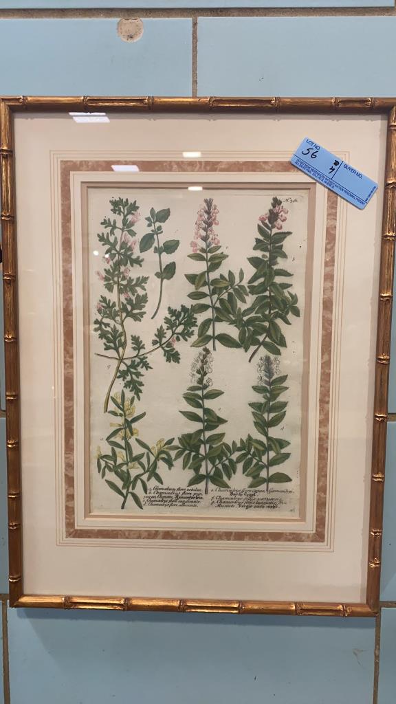 4 EARLY BOTANICAL PRINTS IN BAMBOO STYLE FRAMES (1 of 9)