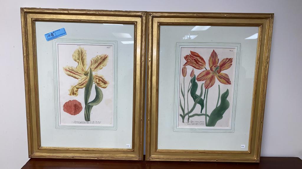 2 EARLY FLOWER/BOTANICAL PRINTS & WATER COLOR OF (1 of 9)