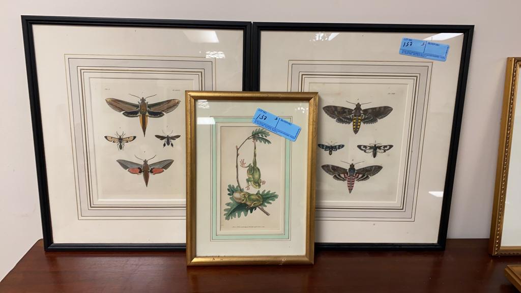 5 VARIOUS ANTIQUE PRINTS (1 of 12)