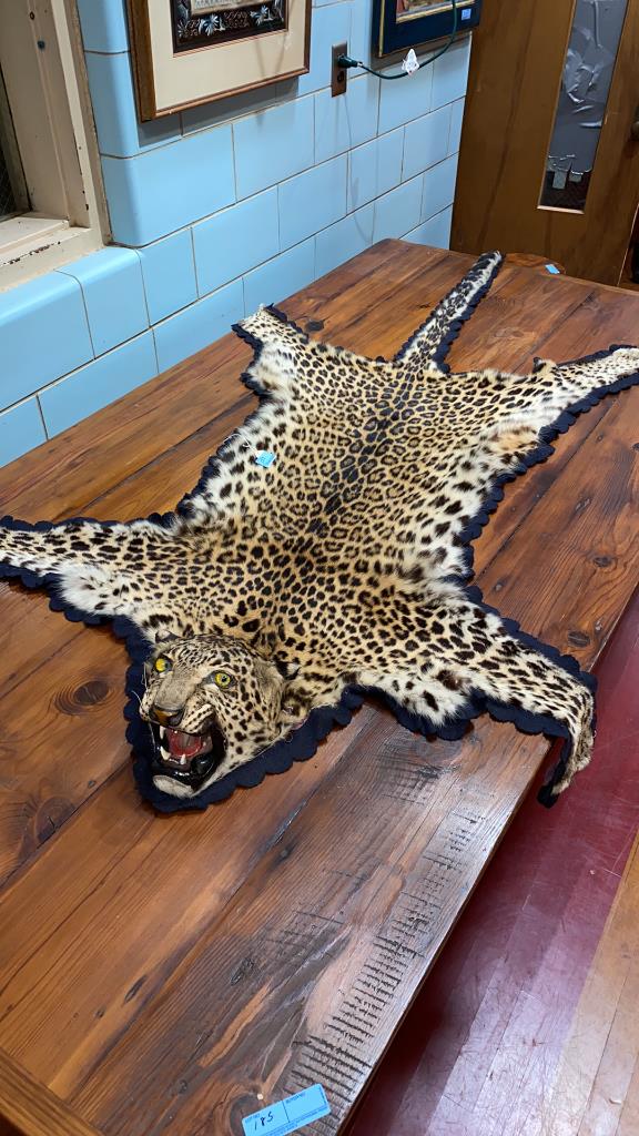 ANTIQUE CAT RUG - 84" x 56" (1 of 10)