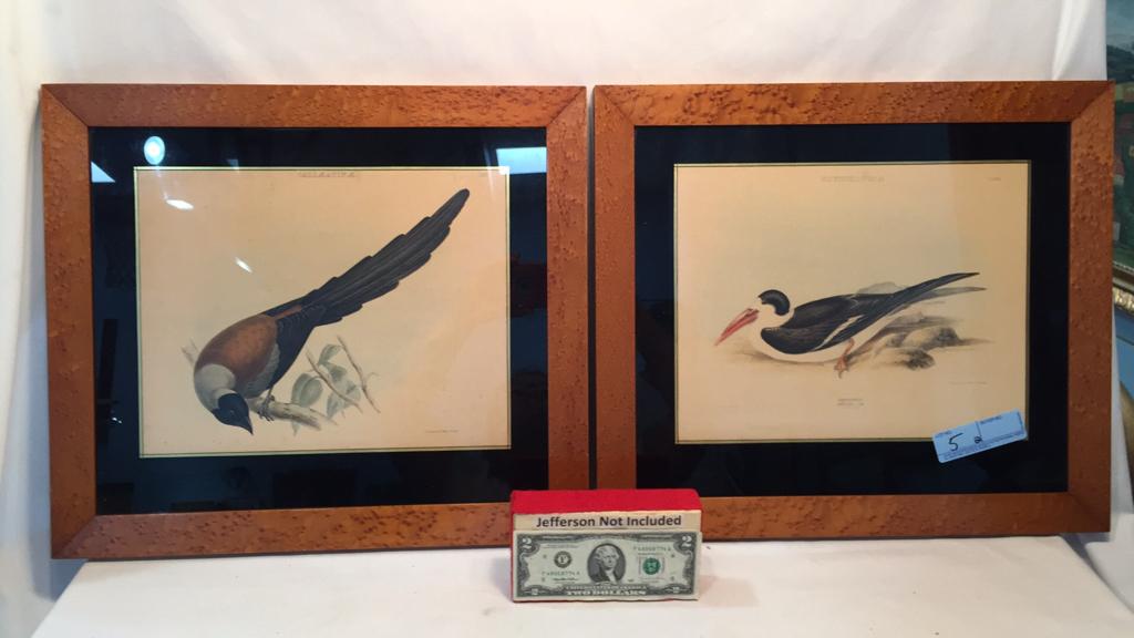 2 BIRD ENGRAVINGS IN BIRDSEYE MAPLE FRAMES (1 of 10)
